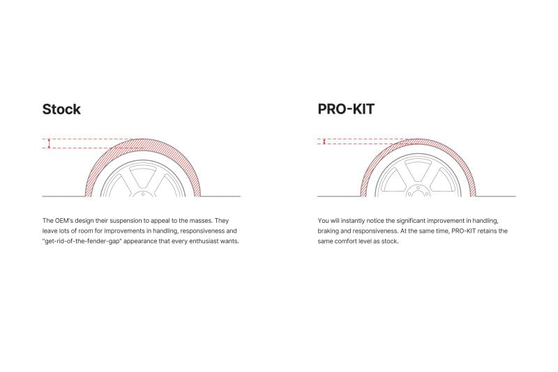 Eibach Pro-Kit Performance Spring E10-44-003-01-22, 1 Pack