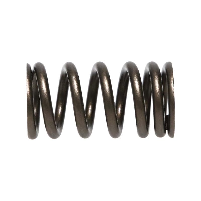 22170-24 Manley Valve Spring, 24 Piece