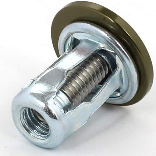Fender Washer Kit NRG Innovations, Set of 10 Titanium Dress Up Bolt Kit for Plastic, Universal Rivets with M6 X 1 Thread, NRG-FW-100TI