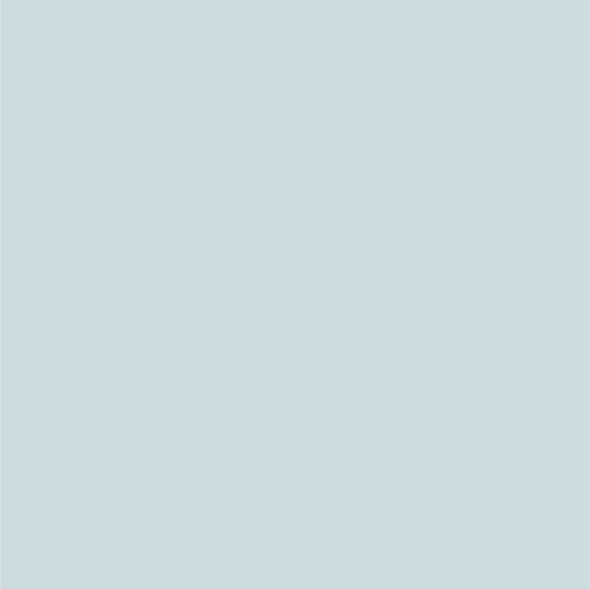 Chrysler Radiant Silver Metallic Dupli-Color EBCC03387 Perfect Match Automotive Spray Paint – 8 oz. Aerosol Can