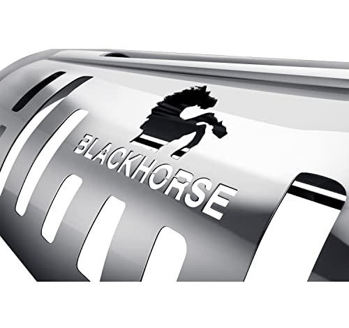 Bull Bar Black Horse Beacon Skid Plate Stainless Steel Compatible with 2023-2024 Lexus NX-BE-F7902S