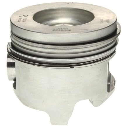 Piston Set Mahle - 224-3452WR.010