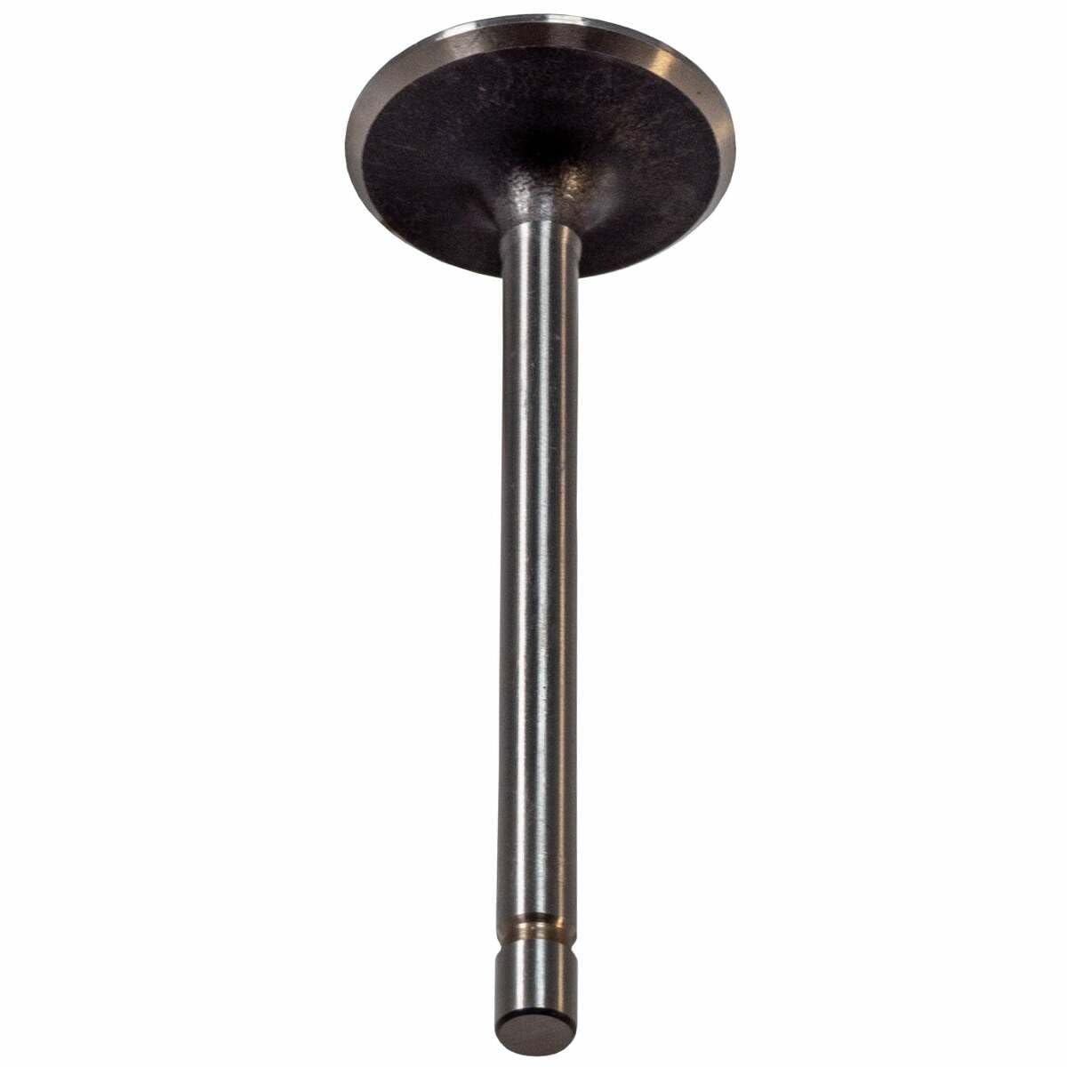 V1001 Melling Intake Valve