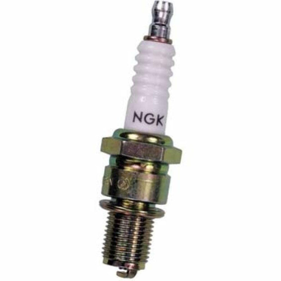Standard NGK Plug