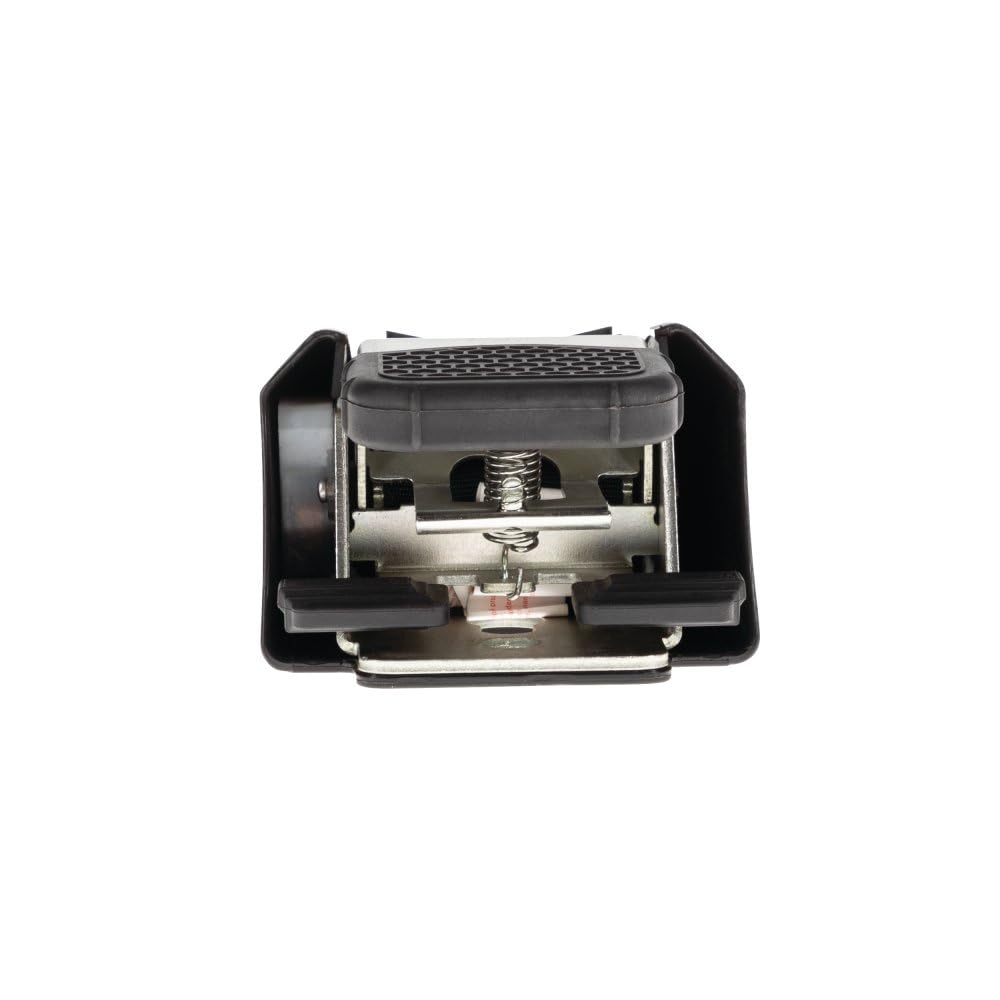Fulton F2 Retractable Transom Tie Downs, 2 Inch x 43 Inch, 500 lbs. Capacity, Stainless Steel (2 Pack)