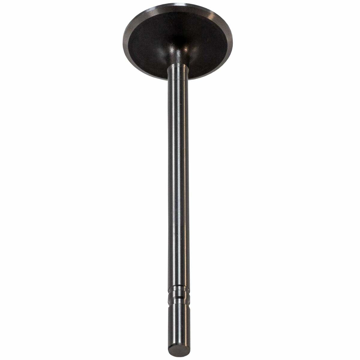 V0308 Melling Intake Valve