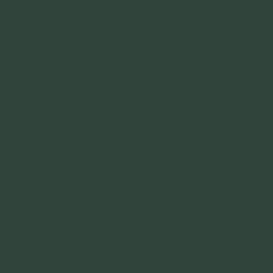 Perfect Match Dupli-Color Automotive Spray Paint – General Motors Medium Green Metallic, 45 WA9539 – 8 oz. Aerosol Can