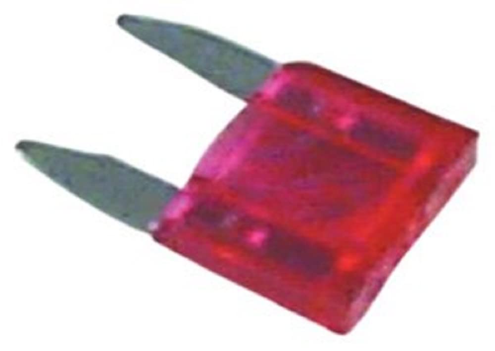 ATM Fuse Sierra International - 10 Amp