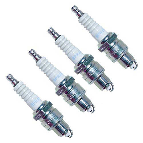 Standard NGK Plug