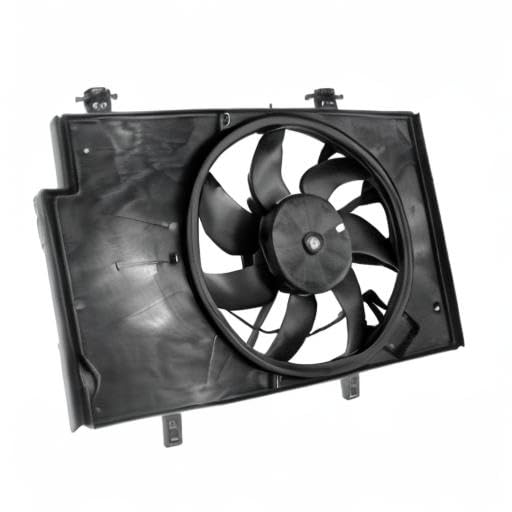 Cooling Fan Assembly TYC 622500 Replacement Compatible with Ford Fiesta, Black