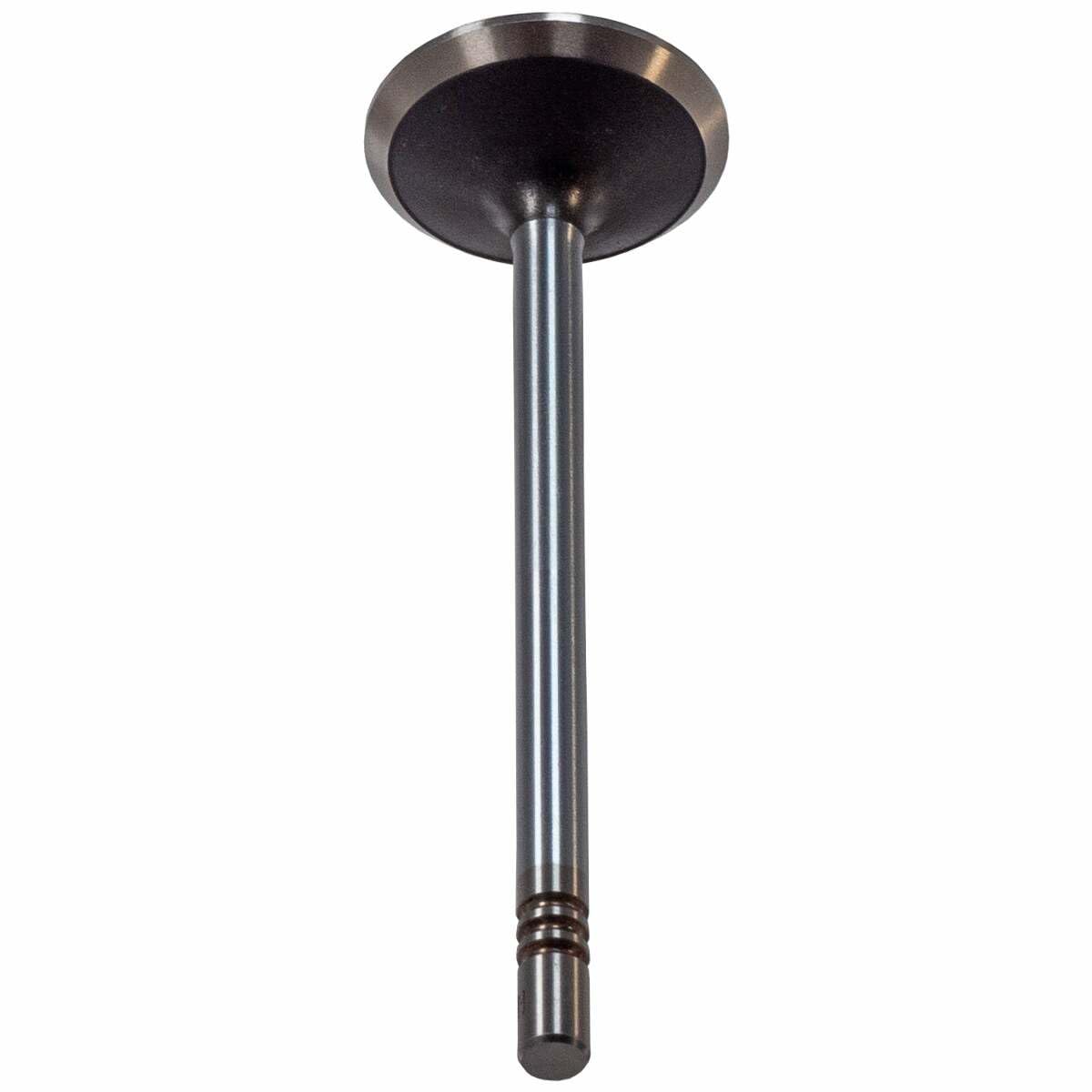 V5560 Melling Exhaust Valve