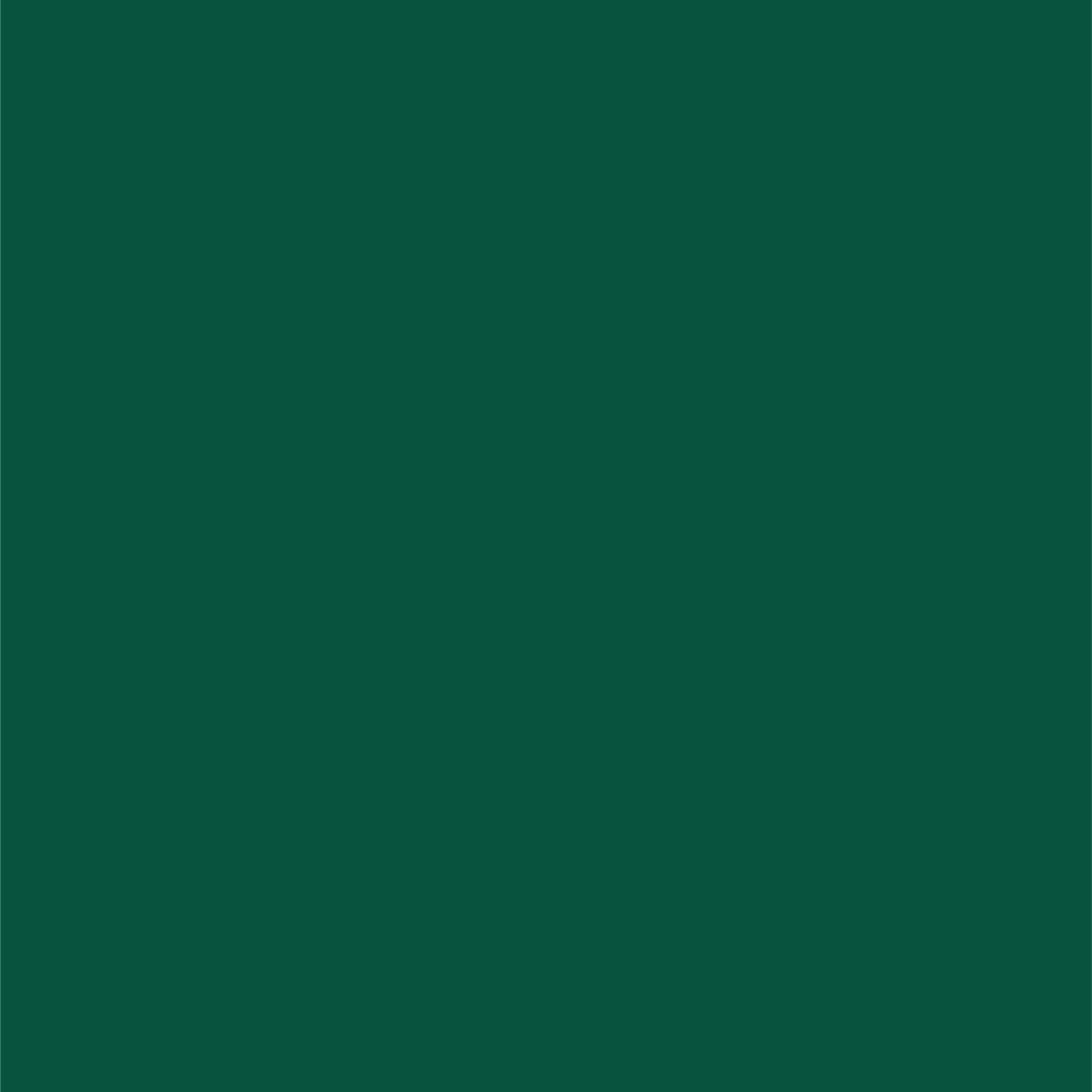 Chrysler Emerald Green Pearl Dupli-Color EBCC04217 Perfect Match Automotive Spray Paint – PGF/QGF – 8 oz. Aerosol Can