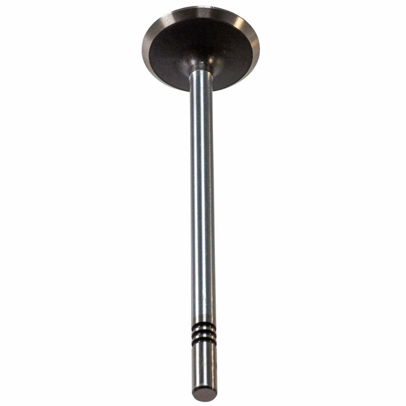 Melling Stock Replacement Engine Intake Valve V1709