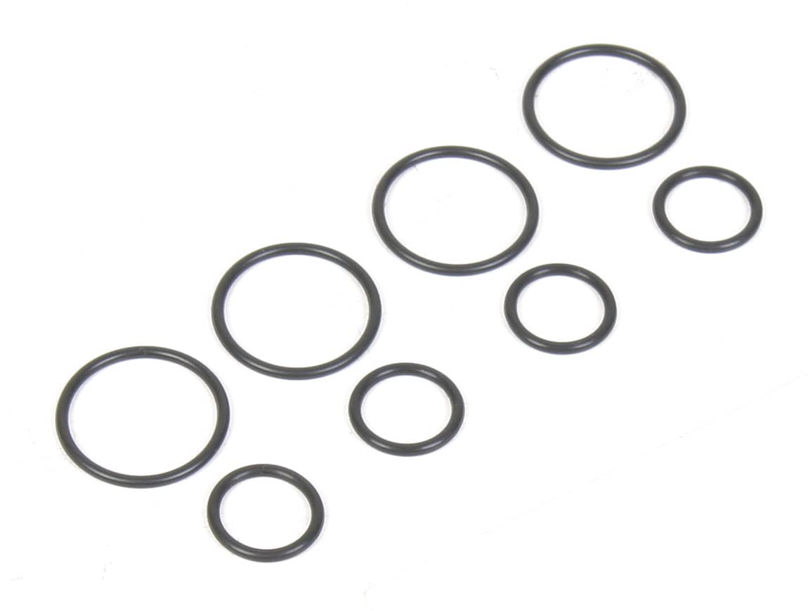 508-19 Holley Fuel Injection O-Ring Kit