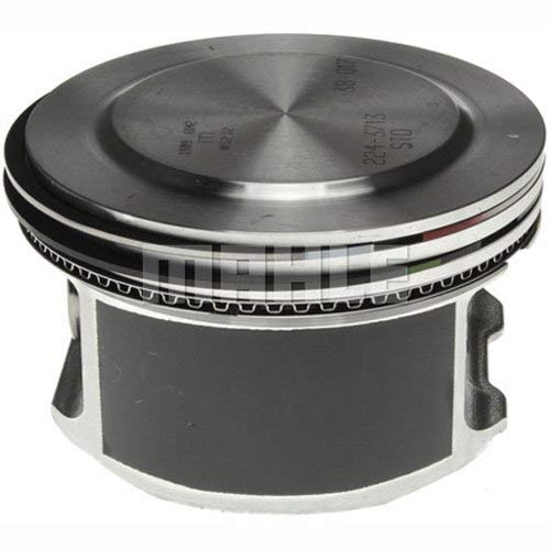 224-3713WR Mahle Piston