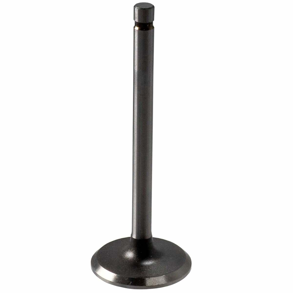 V1120 Melling Intake Valve