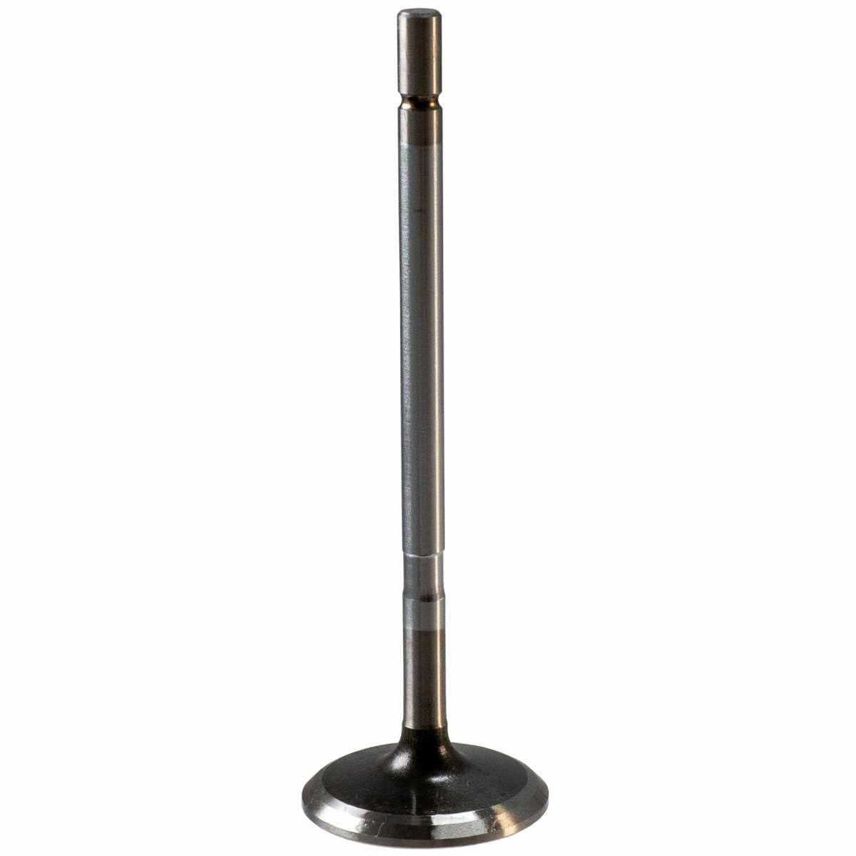 V1730 Melling Intake Valve