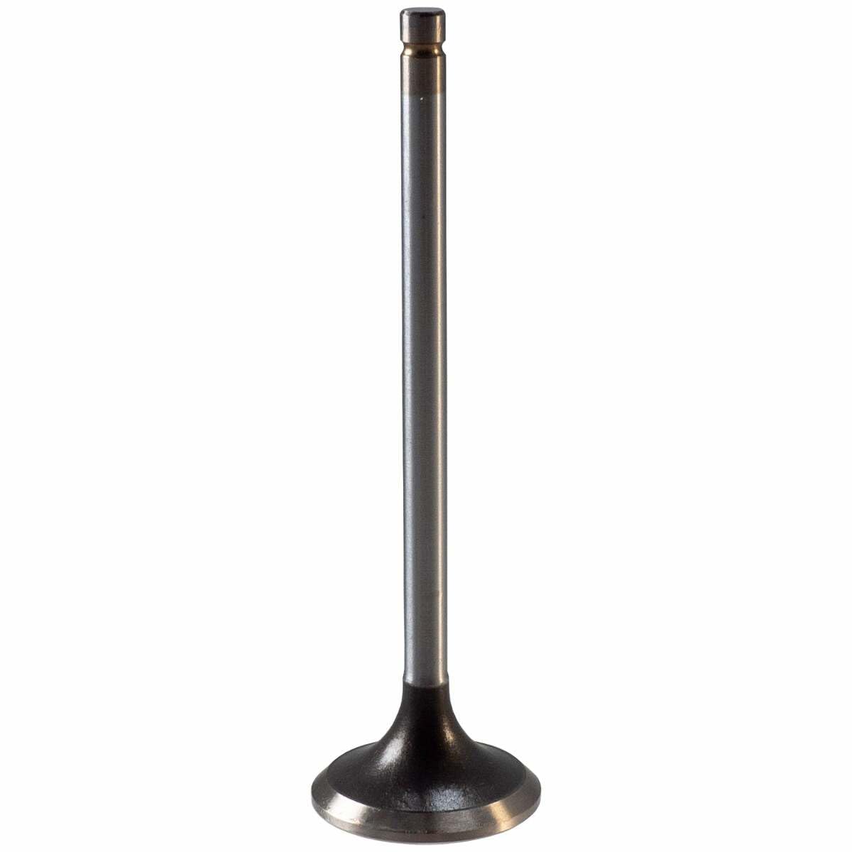 V1903 Melling Exhaust Valve