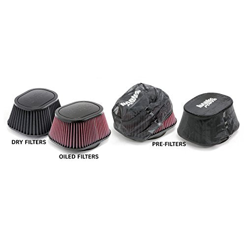 42135-D Banks Air Intake System