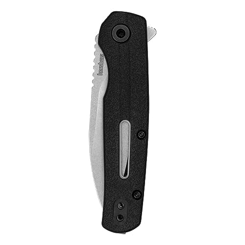 Kershaw Pocket Knife Korra, Black Design, 2.75 Inch Stainless Steel Drop Point Blade, EDC with Assisted Opening, Reversible Pocketclip, Everyday Carry Pocket Knife for Men and Women