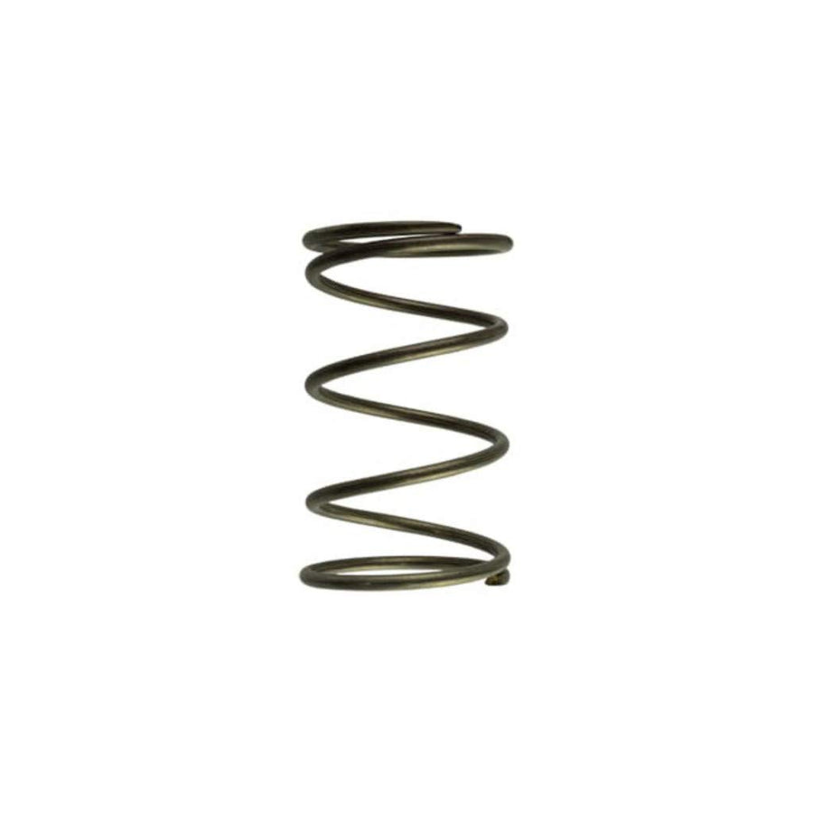 Turbo Smart Turbocharger TS-0550-3092 Wastegate Spring NO Generic Name