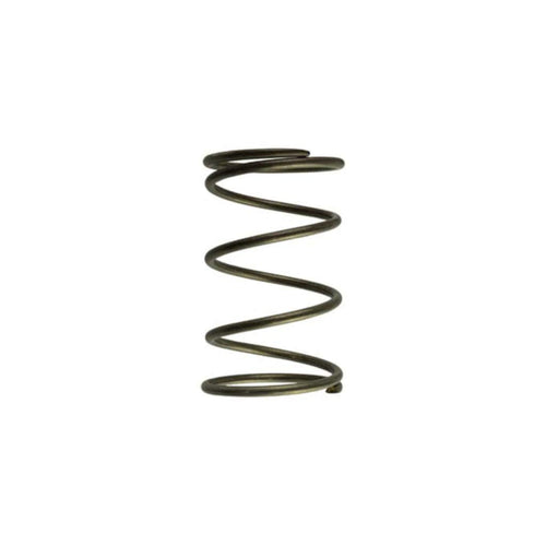 Turbo Smart Turbocharger TS-0550-3092 Wastegate Spring NO Generic Name
