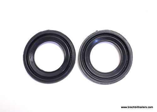 Brake Caliper Repair Kit DEXTER AXLE, 10K-12K