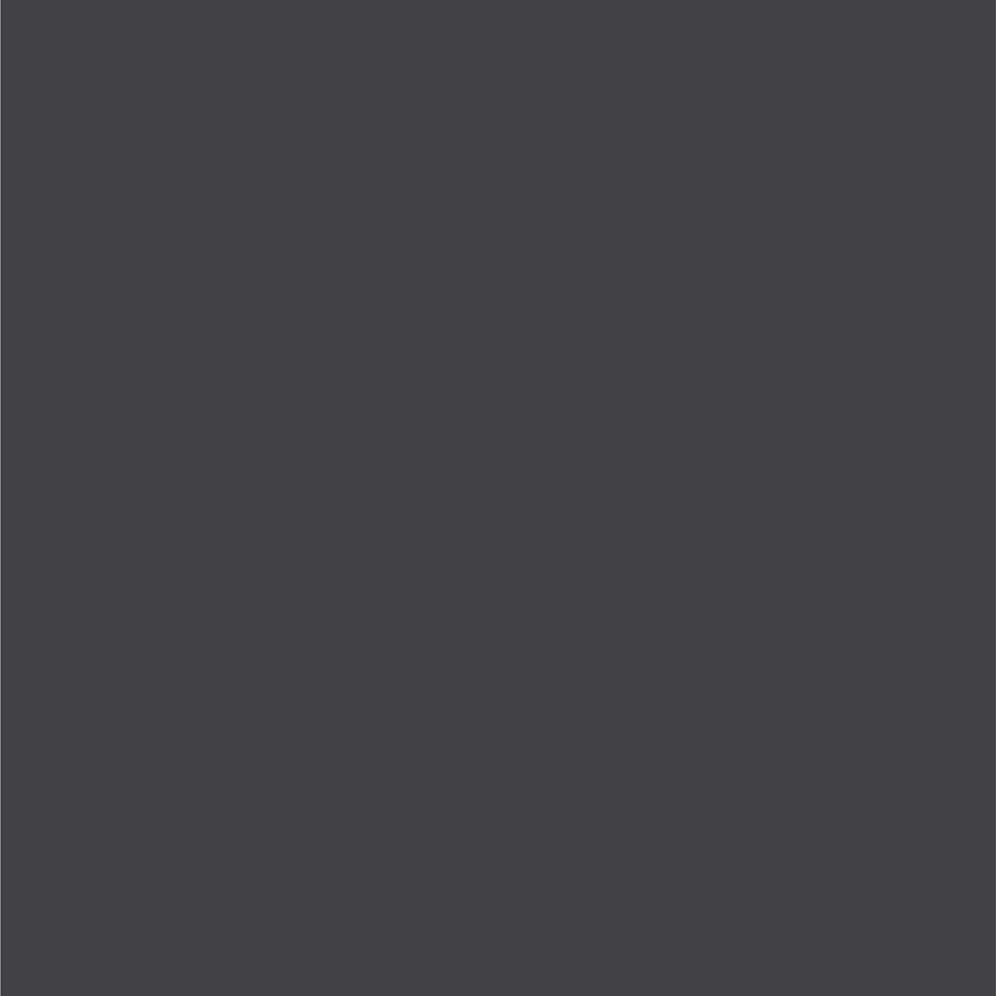 Chrysler Graphite Metallic Dupli-Color EBCC04147 Perfect Match Automotive Spray Paint – PDR – 8 oz. Aerosol Can