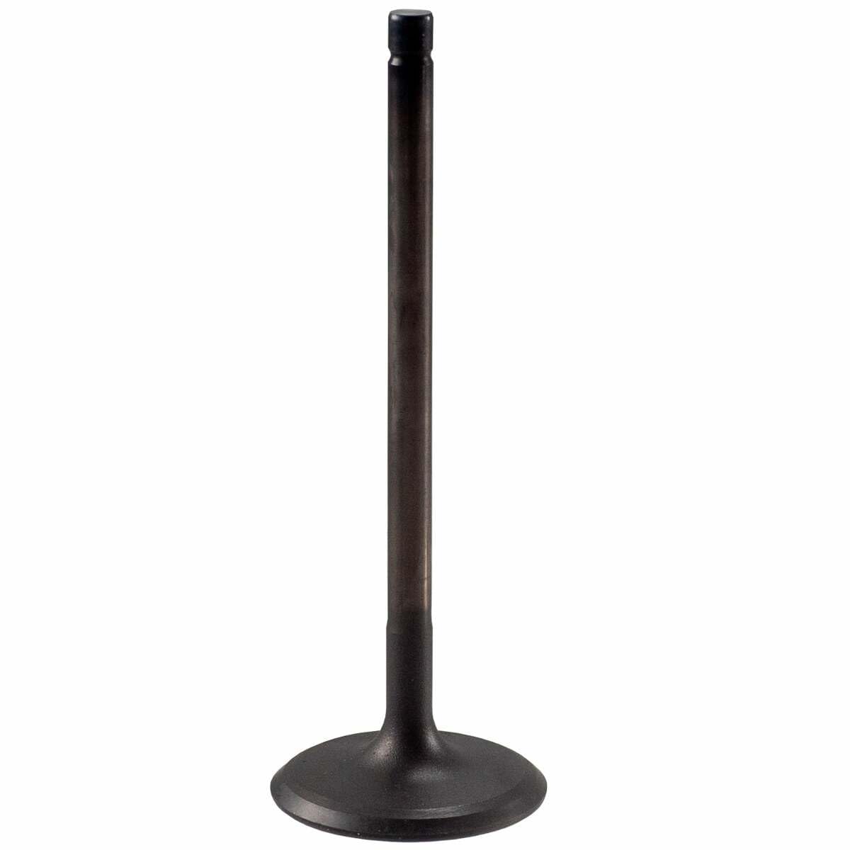 V5569 Melling Stock Replacement Engine Intake Valve
