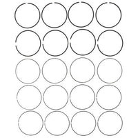 Ring Set Mahle - 42308CP.020