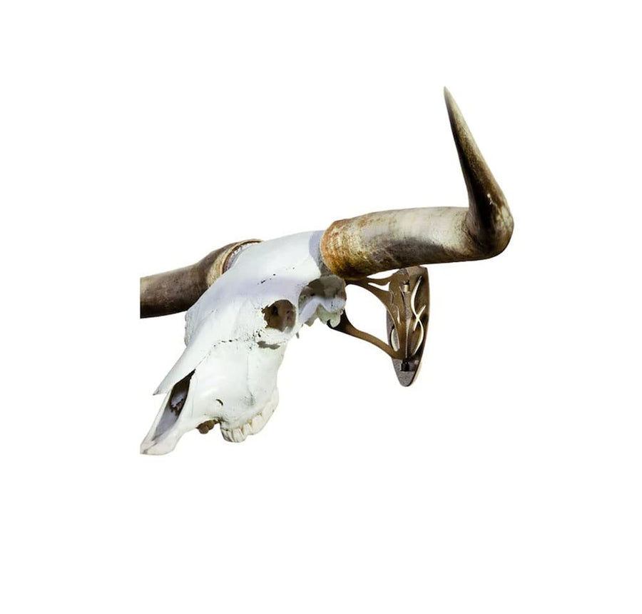 Skull Hooker Powder-Coated Steel Big Hooker Short Arm Trophy Mount - Perfect for Hanging and Mounting Larger Species - Bison, Cape Buffalo and Smaller Elk, Robust Brown