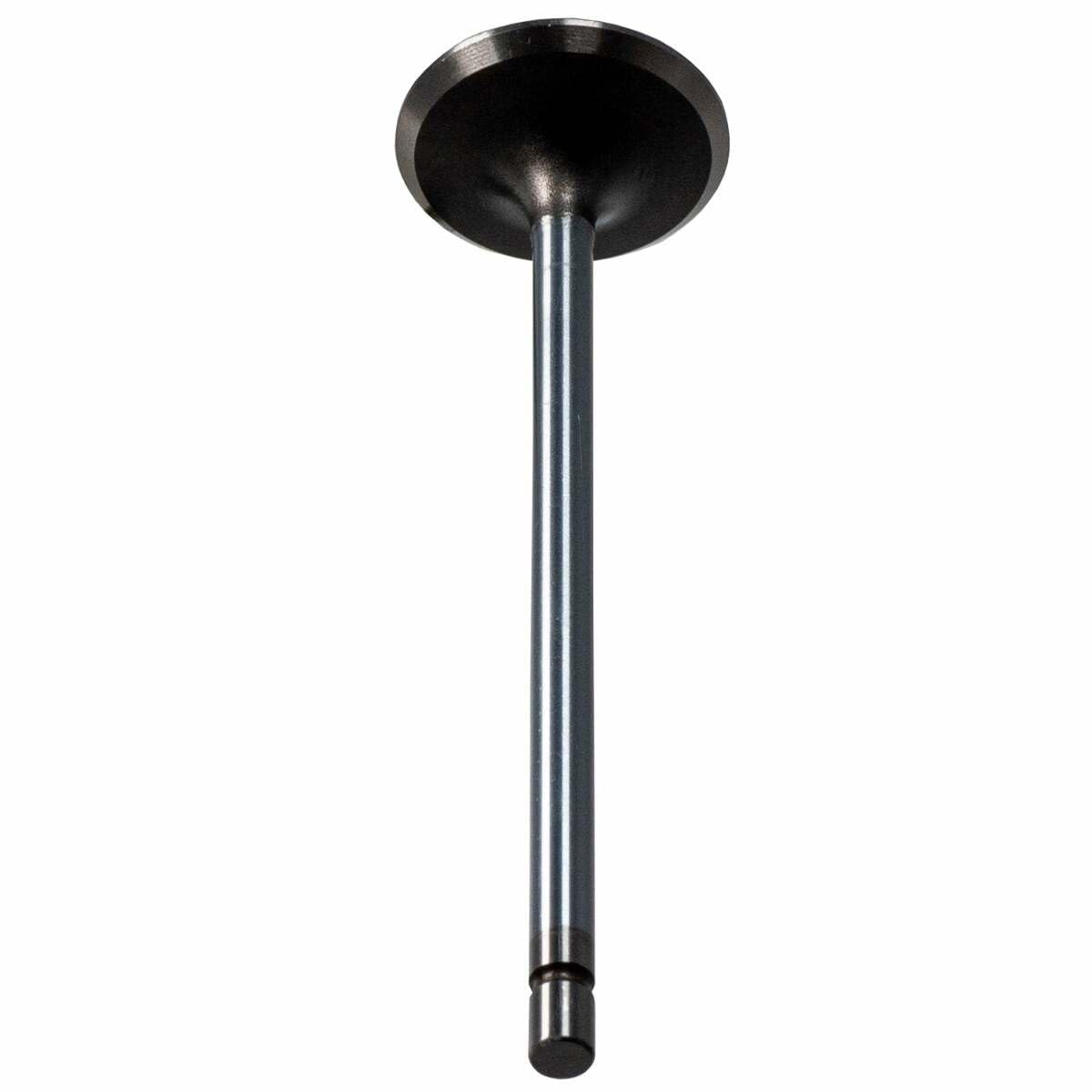 V1741 Melling Engine Intake Valve