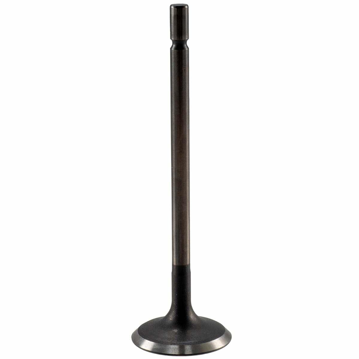 V5568 Melling Stock Replacement Engine Intake Valve