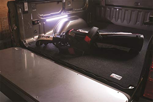 Access 90392 Cover Motion LED Light Strip