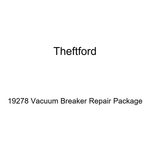 Vacuum Breaker Theftford 19278 Repair Package