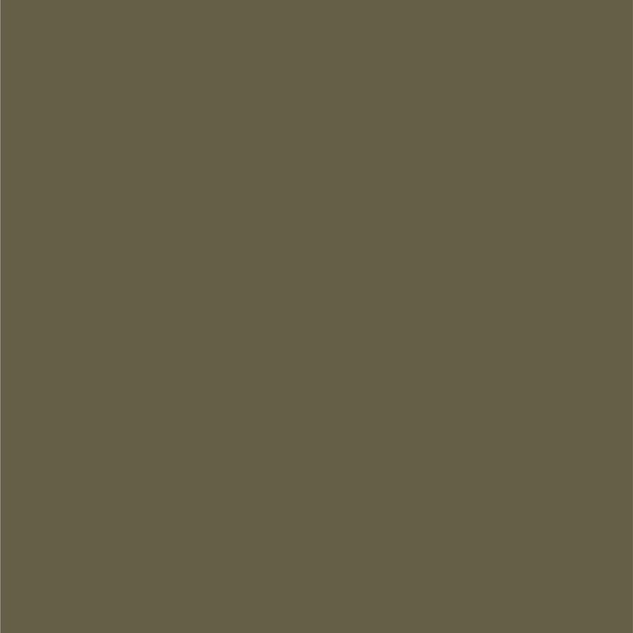 Automotive Spray Paint Dupli-Color EBFM03547 Perfect Match – Ford Arizona Beige, AQ – 8 oz. Aerosol Can