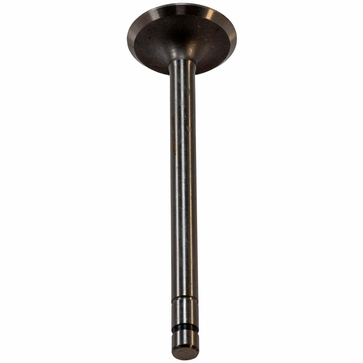 V0192 Melling Intake Valve