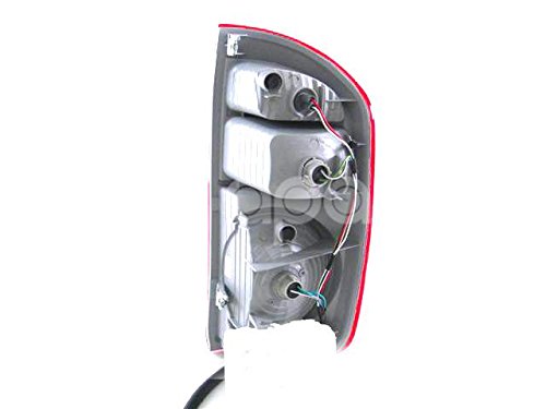 Tail Light Eagle Eyes TY762-B000L