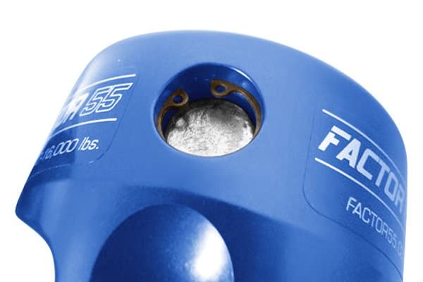 Blue Factor 55 0001502 Prolink