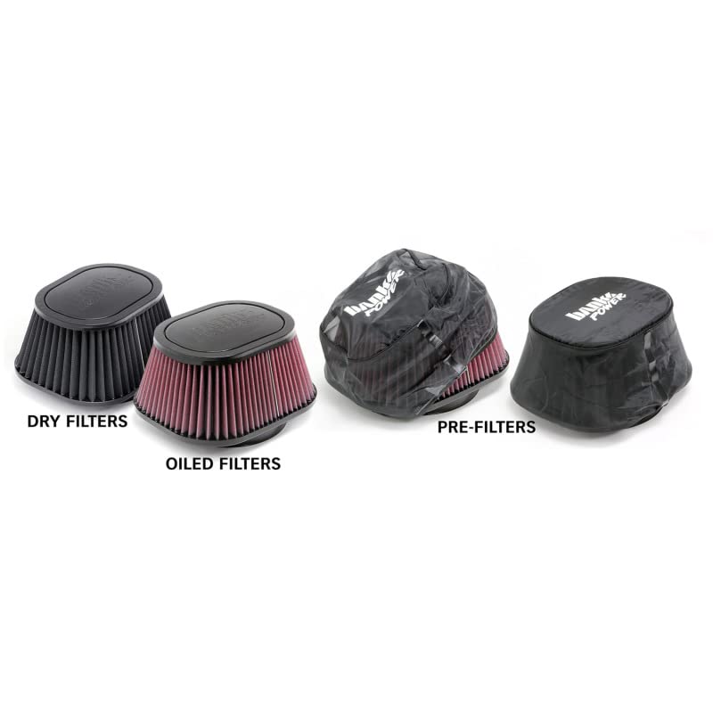 42230-D Banks Air Intake System