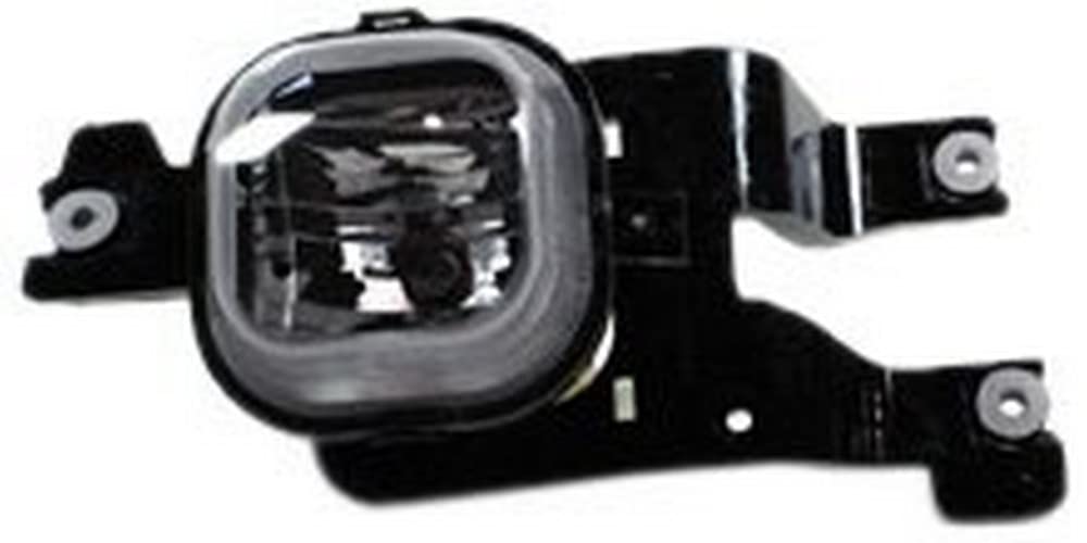 Left TYC Fog Light Assembly Compatible with 2008-2010 Ford F- Series Pickup (Hvy Dty)