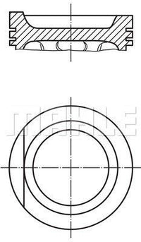 0299002 Mahle Piston