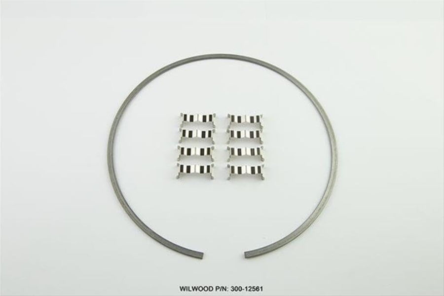 Snap Ring Kit (1) and Wear Plates (8), Dynamic Drag Rotor