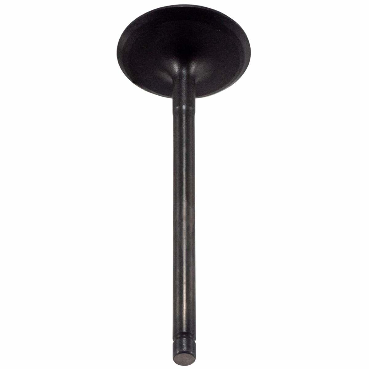 V5569 Melling Stock Replacement Engine Intake Valve