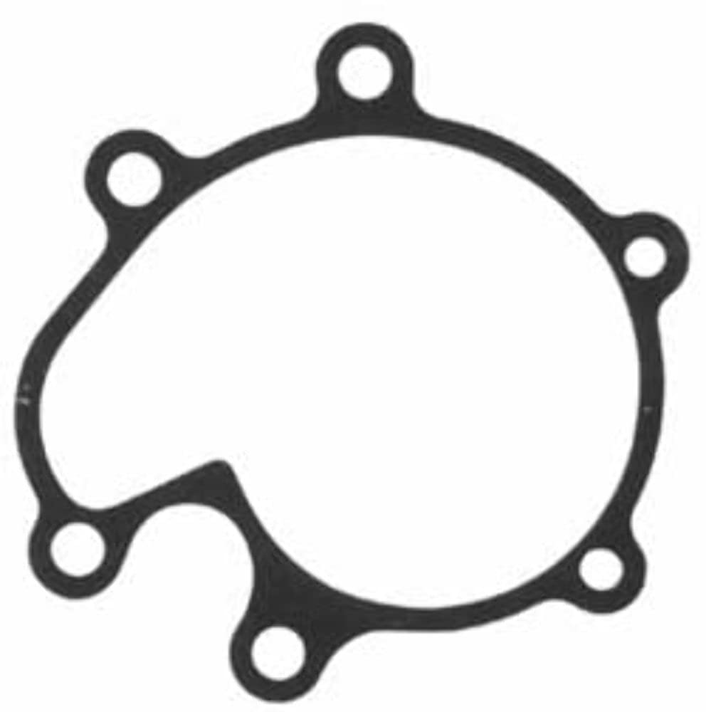 Water Pump MAHLE Gasket K31296