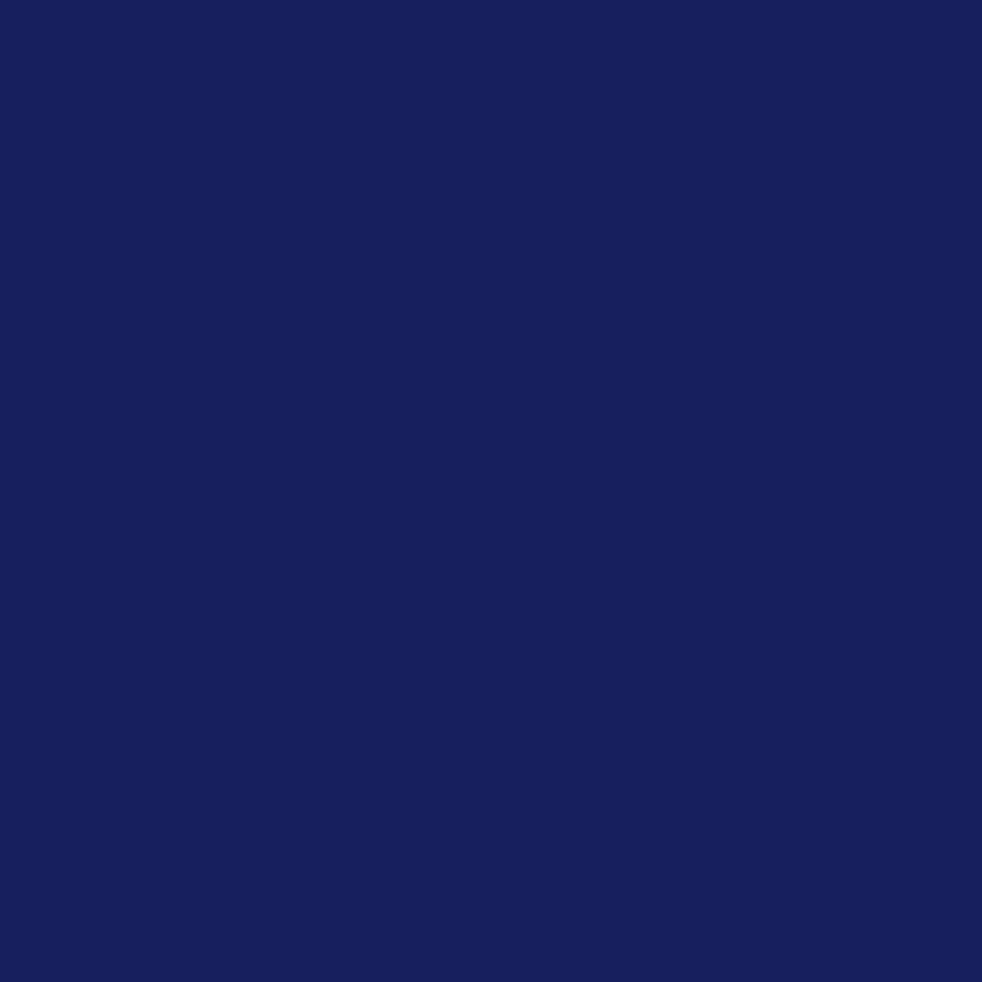 Perfect Match Dupli-Color Automotive Spray Paint – General Motors Navy Blue Metallic, 28 WA352E – 8 oz. Aerosol Can