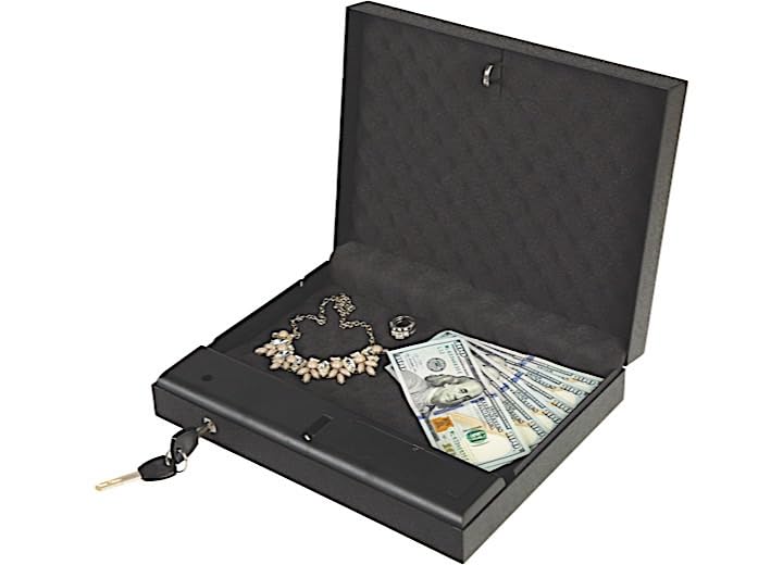 Surelock Security Company QuickTouch Vault 100 Digital + Bio - Black (QTV100DB)