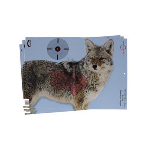 Coyote Pregame 16.5?x 24? Tgt -3 targets