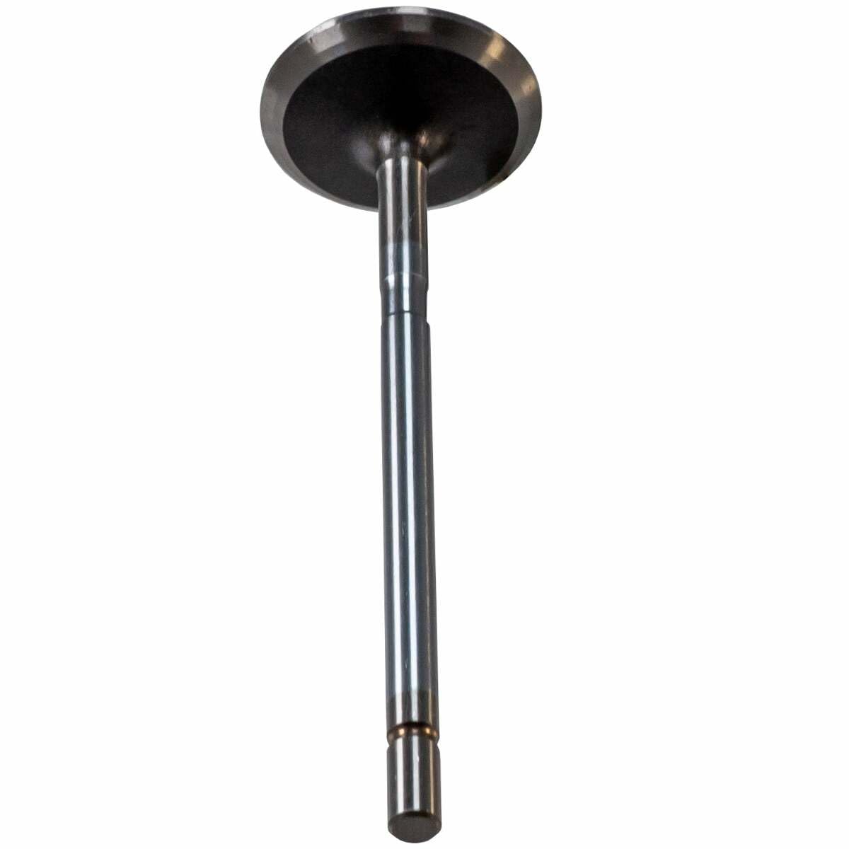 V1730 Melling Intake Valve