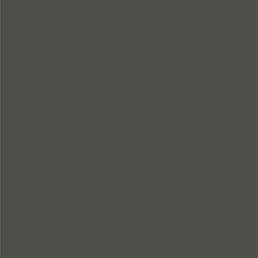 Perfect Match Dupli-Color EBFM03607 Automotive Spray Paint – Ford Dark Shadow Gray, CX – 8 oz. Aerosol Can